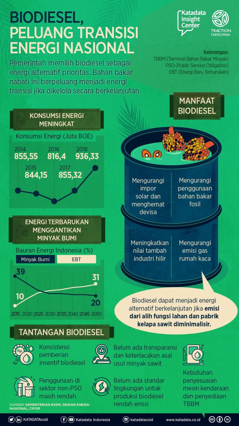 Read more about the article Biodiesel, Peluang Transisi Energi Nasional