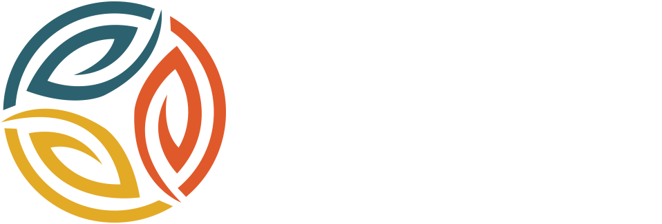 TRACTION ENERGY ASIA