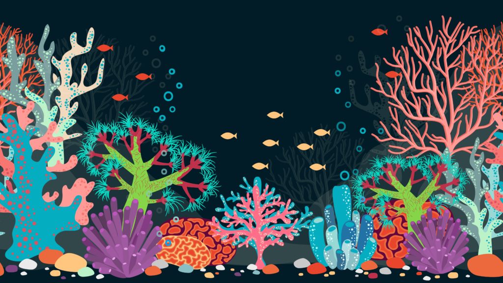Read more about the article Coral Reef Restoration Creates an Underwater Paradise